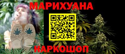 прущие грибы Тверь