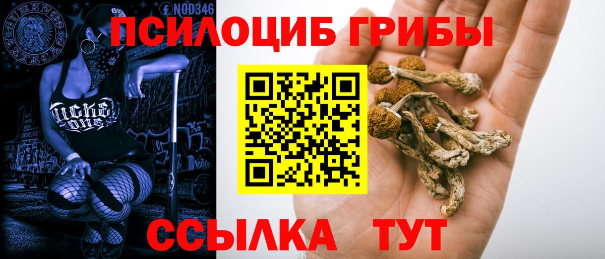 Приморско-Ахтарск  Псилоцибиновые грибы мухоморы  Вход с VPN 